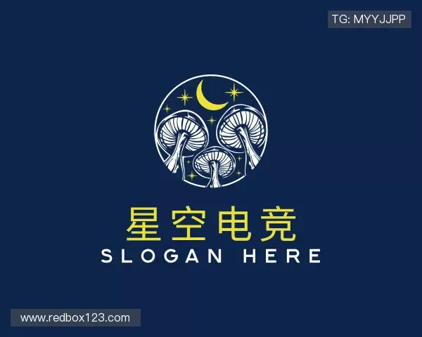 知道星空电竞